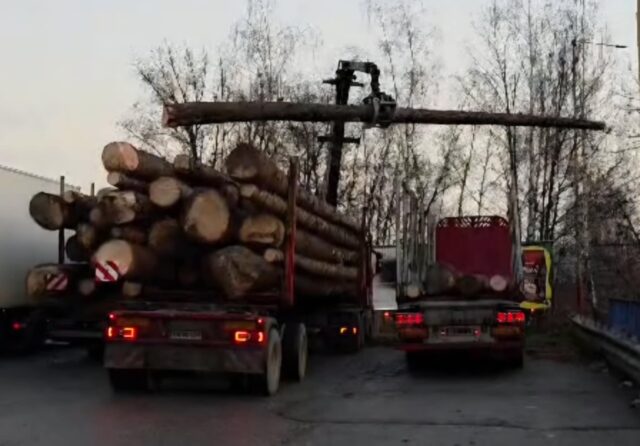 Policajti zastavili v Ružomberku preťažené kamióny s drevom