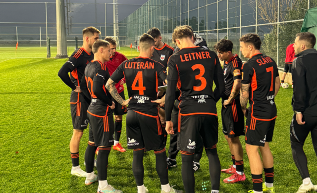 Ruža zvalcovala turkménskeho majstra