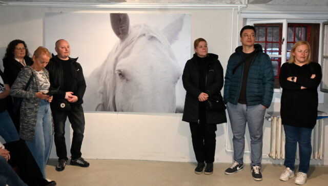 Prezentácia multimediálnej tvorby výtvarníka Tibora Eliáša