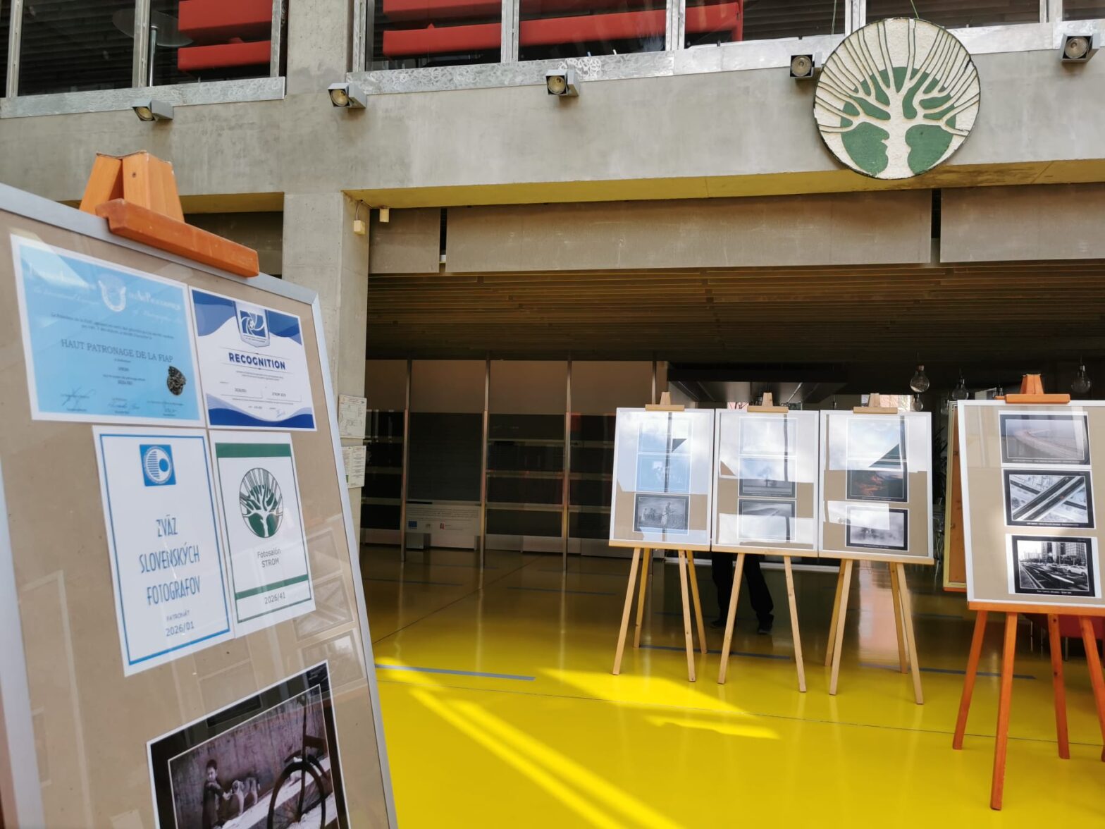 Ďalší Strom, tentoraz na akademickej pôde