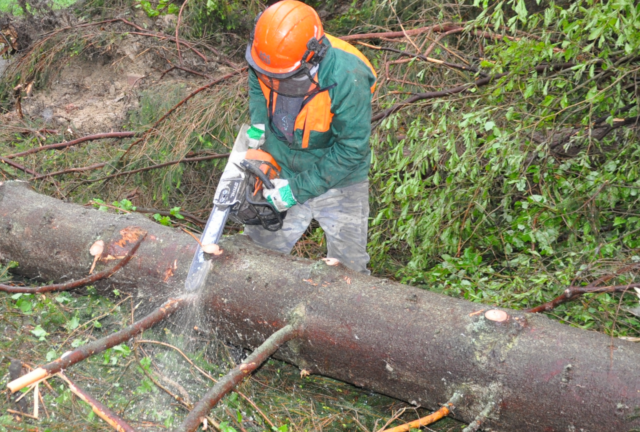 Pozor. Na ceste medzi Kalváriou a Malinom Brdom zvýšte opatrnosť, prebieha ťažba dreva