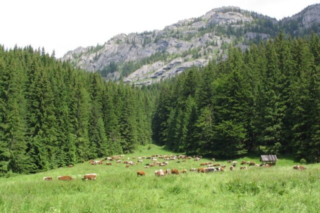 Budúcnosť Liptova v rovnováhe. Región sa spája v podpore zonácie NAPANT-u