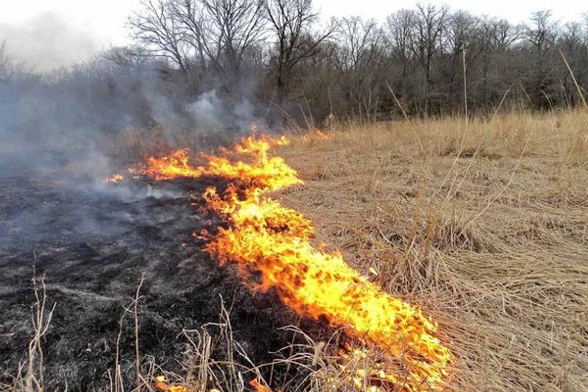 Počet požiarov vzrástol, prispelo aj vypaľovanie trávy