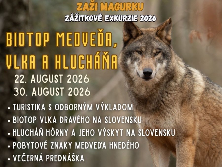 Víkend v Ružomberku a okolí: Kam sa vyberiete?