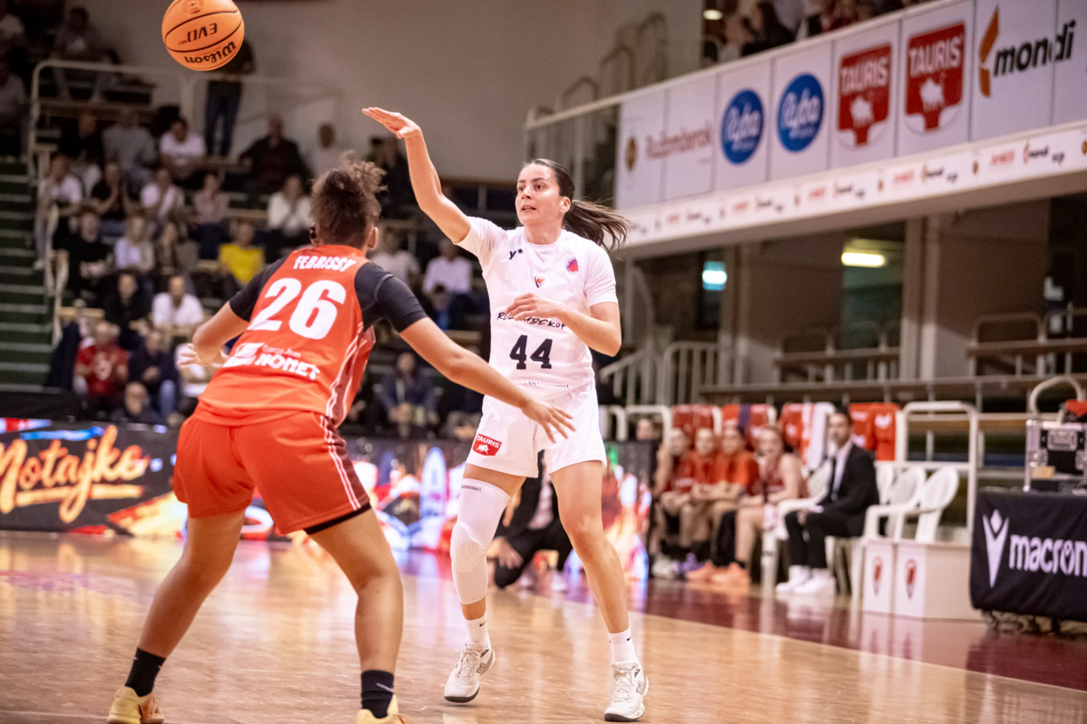 Zajtra na Poľnej: Ružomberok - C'Chartres Basket Feminin